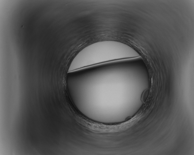 X0000095550048200712140944