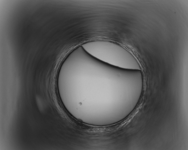 X0000095550049200712140943
