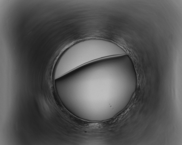 X0000095550050200712140943