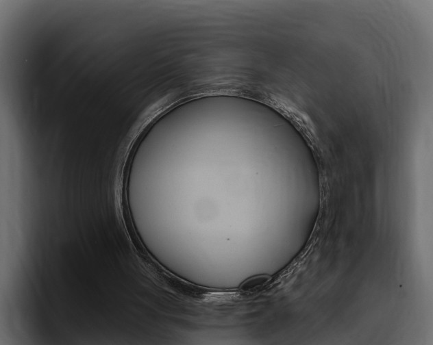 X0000095550051200712140943