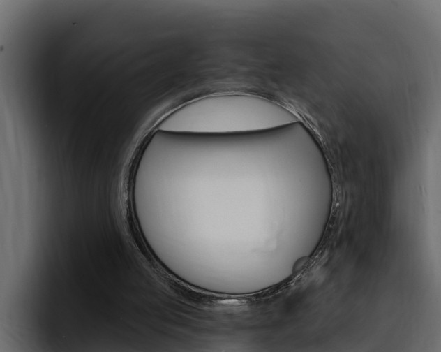 X0000095550053200712140943