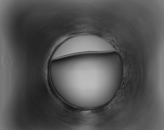 X0000095550054200712140943