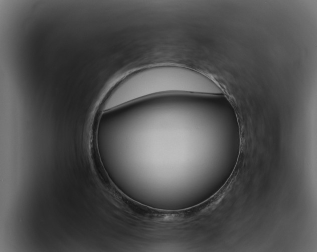 X0000095550056200712140943