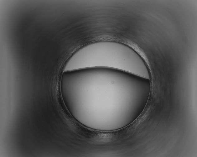 X0000095550057200712140943