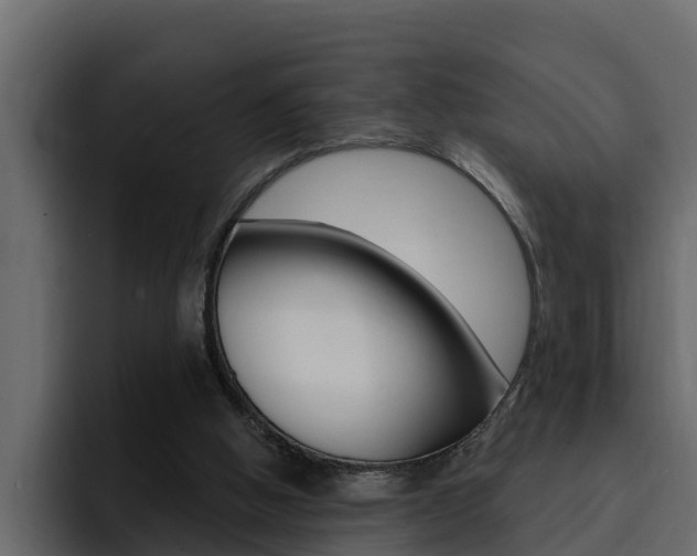 X0000095550058200712140943