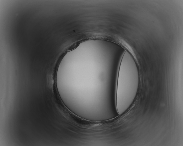 X0000095550059200712140943