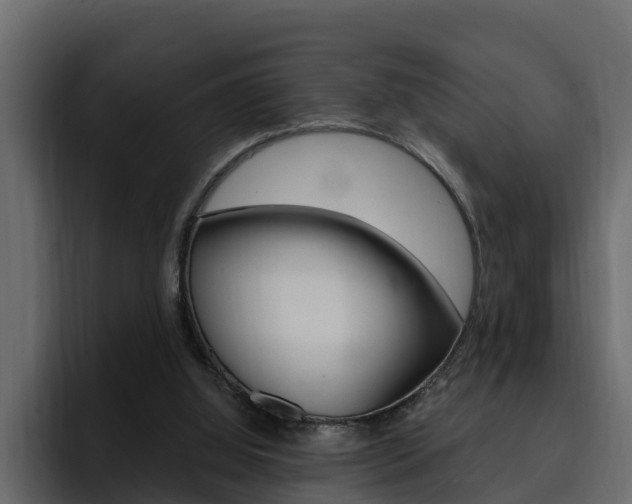 X0000095550060200712140943