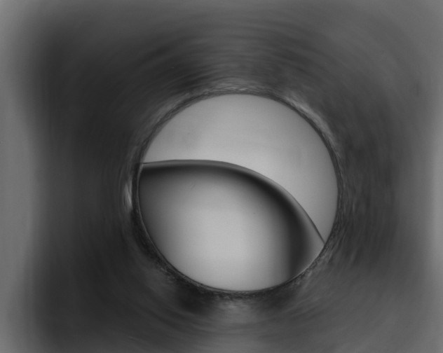 X0000095550062200712140943