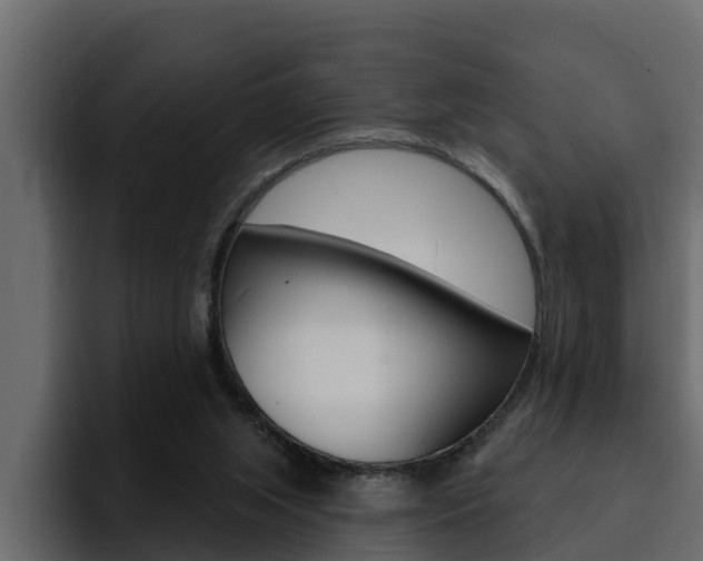 X0000095550063200712140943