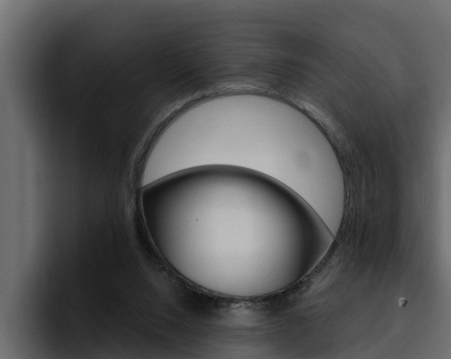 X0000095550064200712140944