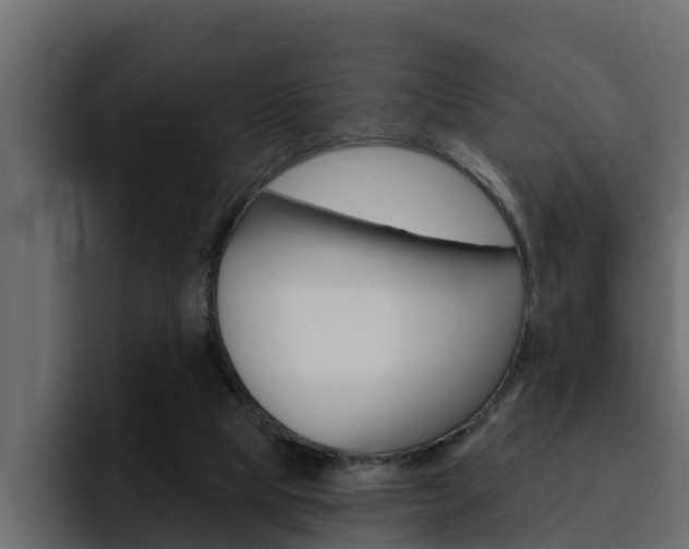 X0000095550065200712140944