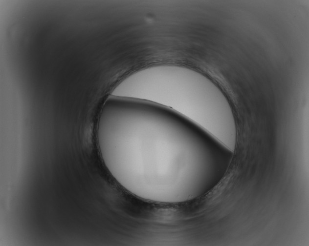 X0000095550066200712140944