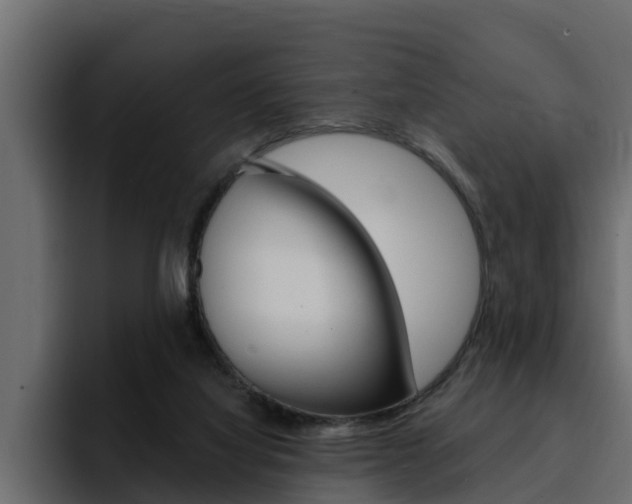 X0000095550068200712140944