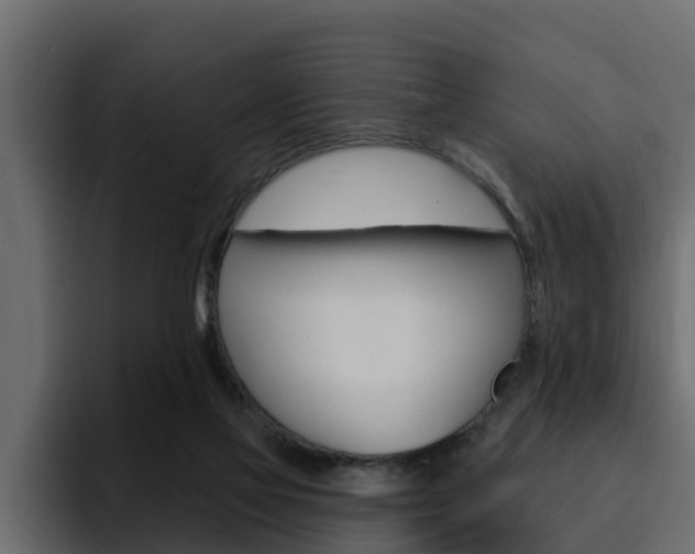 X0000095550069200712140944