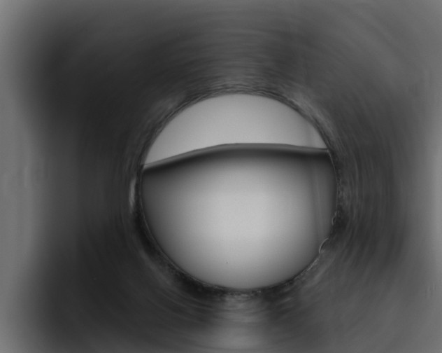 X0000095550070200712140944