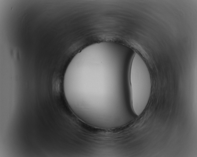 X0000095550071200712140944