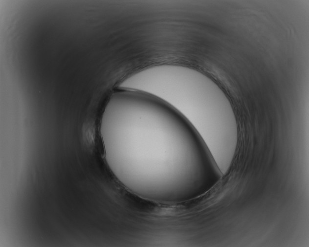 X0000095550072200712140944