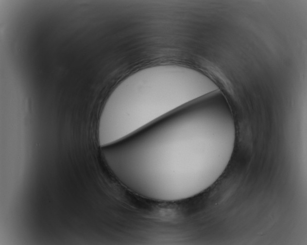 X0000095550073200712140944