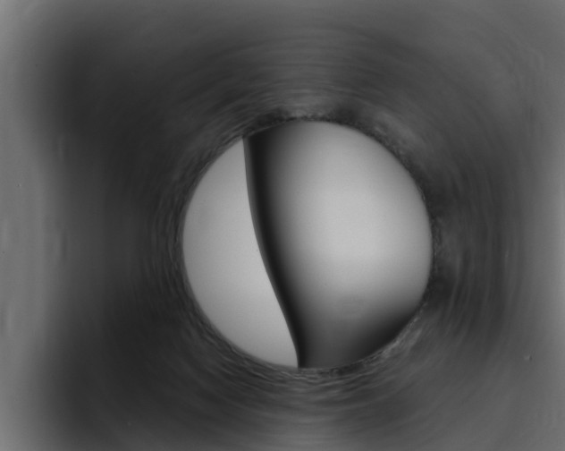 X0000095550074200712140944