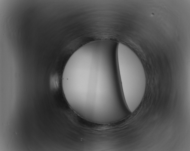 X0000095550075200712140944