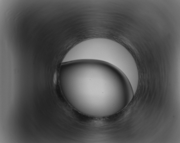 X0000095550076200712140944