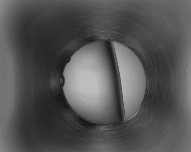 X0000095550078200712140944