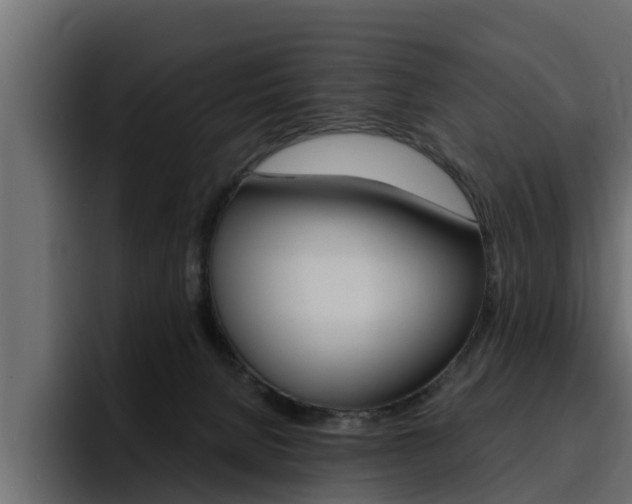 X0000095550080200712140944