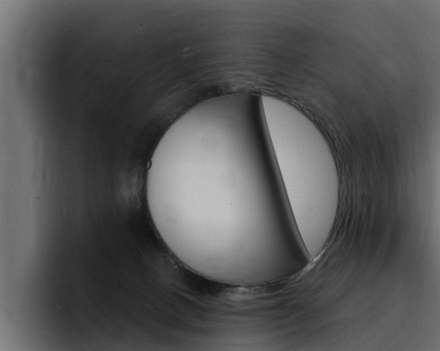 X0000095550082200712140944