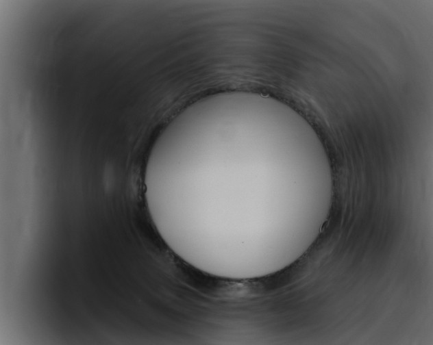X0000095550083200712140944