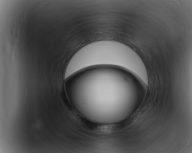 X0000095550084200712140944