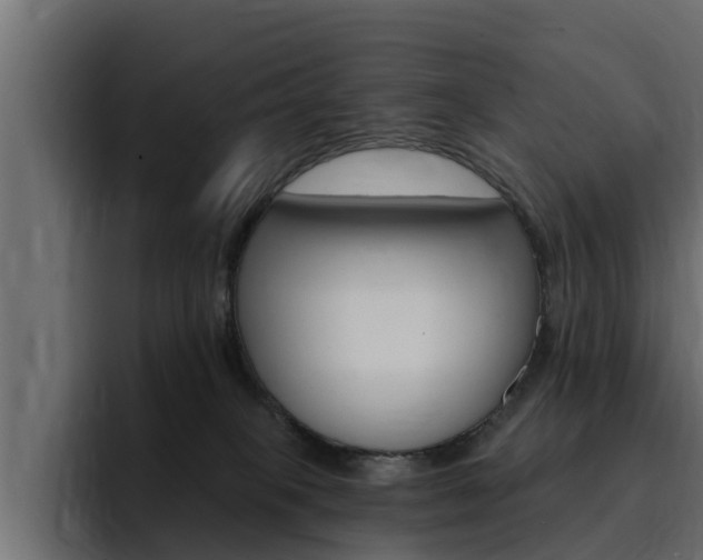 X0000095550085200712140944
