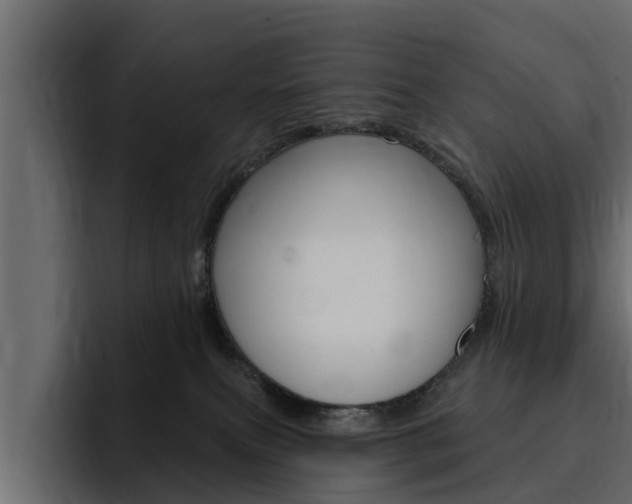 X0000095550087200712140944