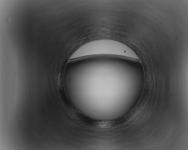X0000095550088200712140944