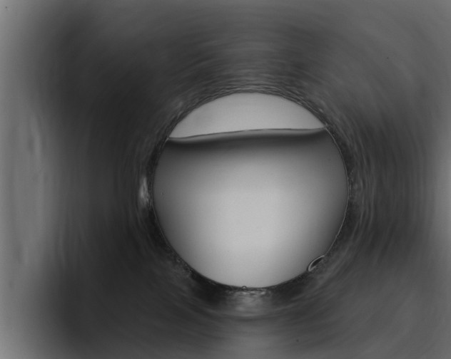X0000095550089200712140944