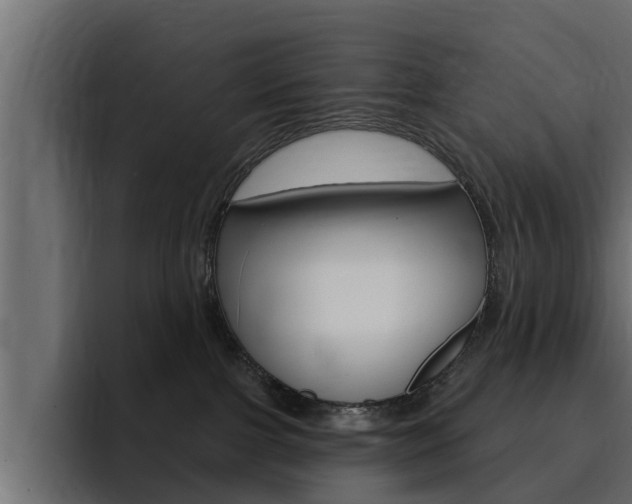 X0000095550091200712140944