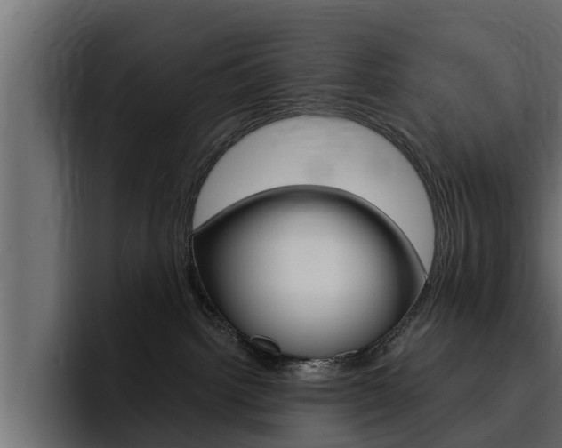 X0000095550092200712140944