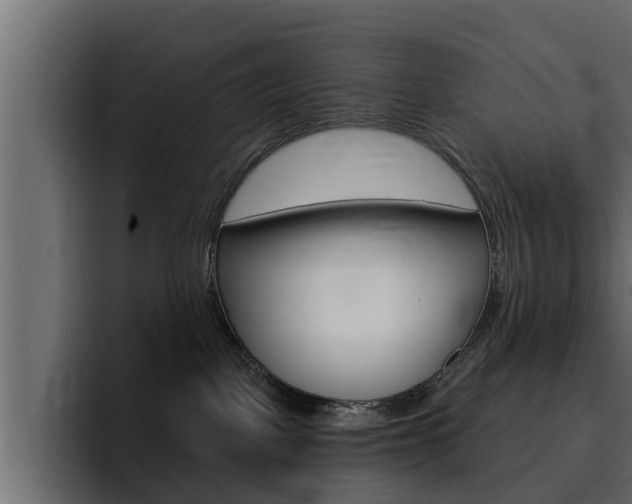 X0000095550093200712140944