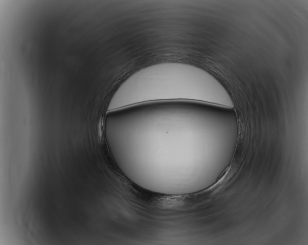 X0000095550094200712140944