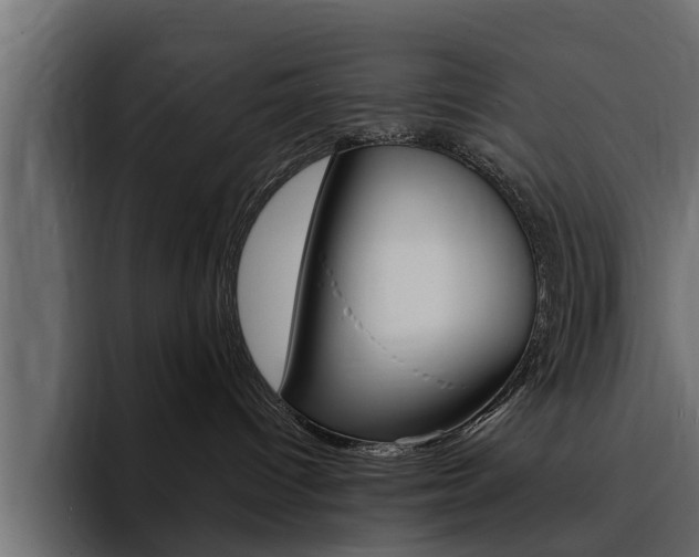 X0000095550096200712140944