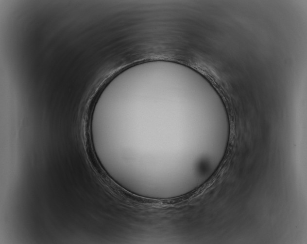 X0000095550098200712140943