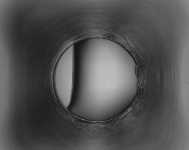 X0000095550099200712140943