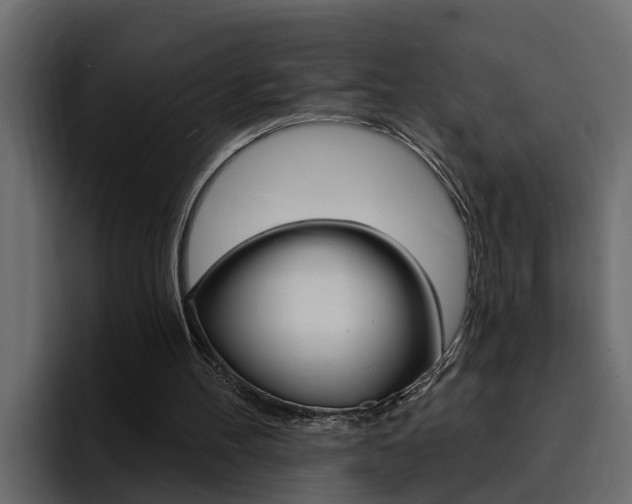 X0000095550100200712140943