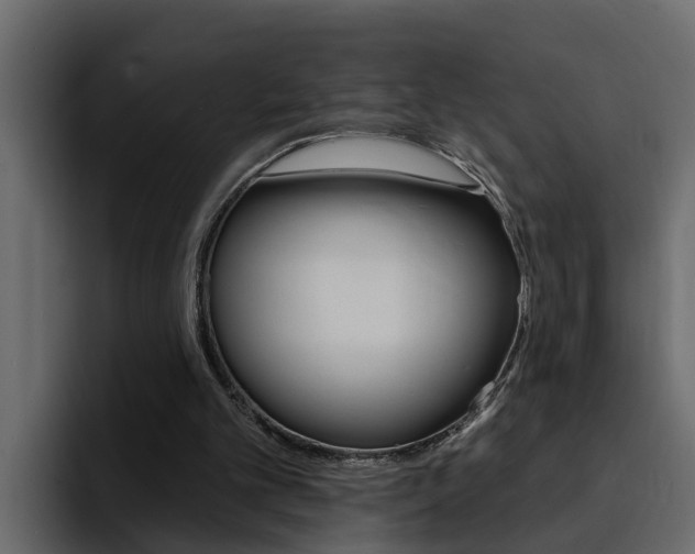 X0000095550101200712140943