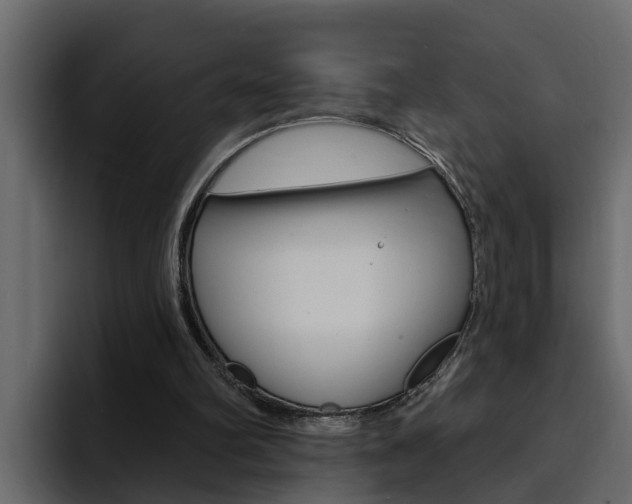 X0000095550102200712140943