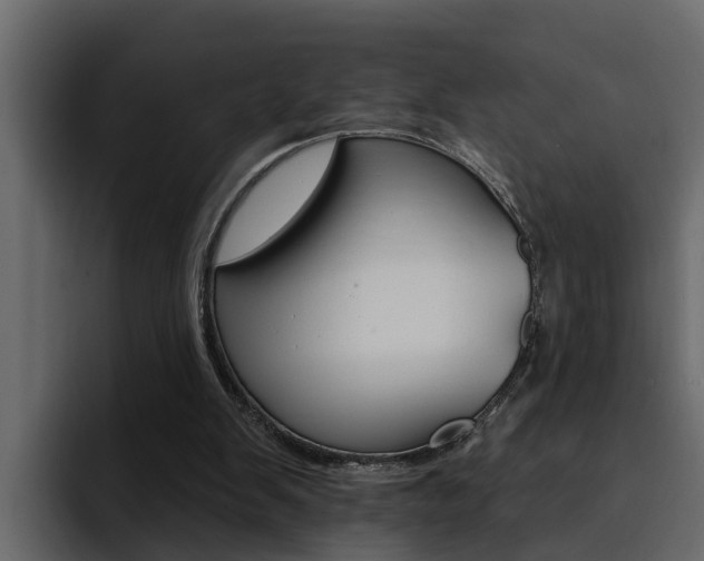 X0000095550103200712140943