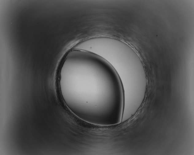 X0000095550104200712140943