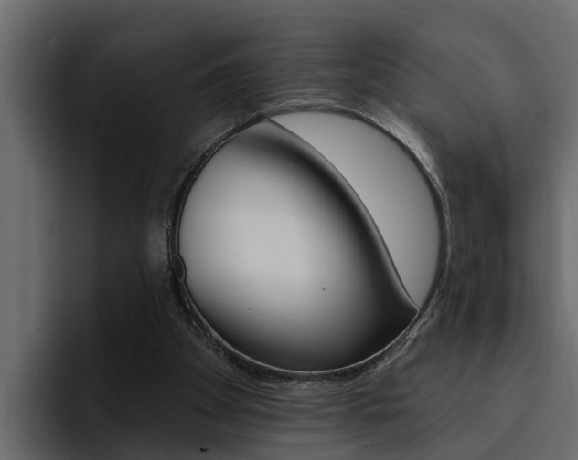 X0000095550105200712140943