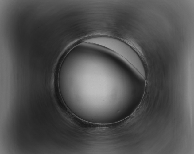 X0000095550108200712140943
