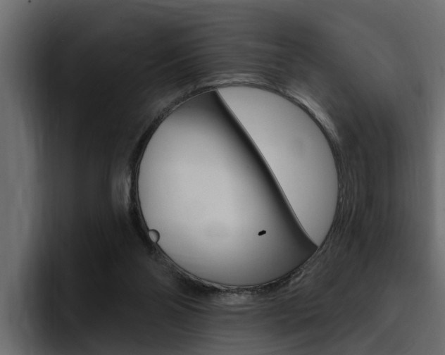 X0000095550110200712140943