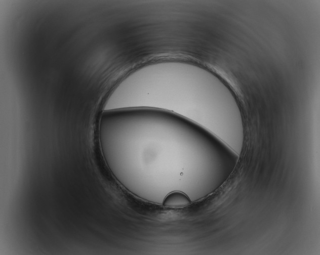 X0000095550111200712140943